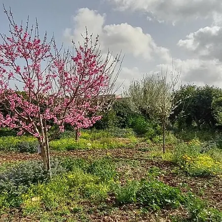 Casale Imperatore Appartement