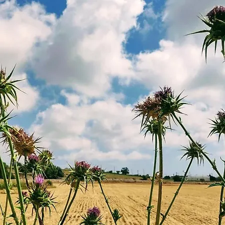 Casale Imperatore Appartement