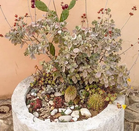 Casale Imperatore Марина-ди-Рагуза